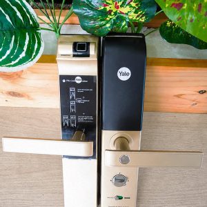 Khóa vân tay Yale YDM7116A
