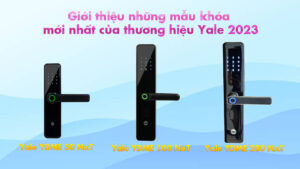 gioi thieu khoa yale