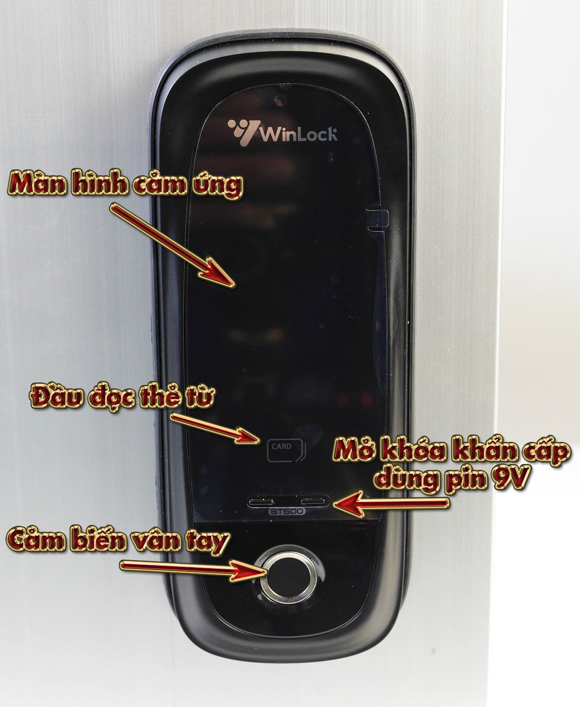 thiet ke winlock st600