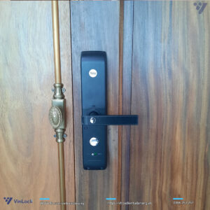 Khóa yale cửa gỗ 7116A