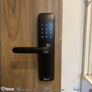 hình ảnh thực tế