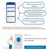 Wifi App VN