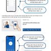 Wifi App VN