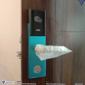 Hình ảnh lắp đặt thực tế
