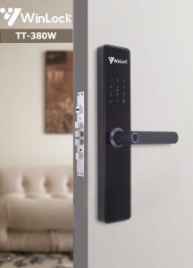 Winlock TT-380W