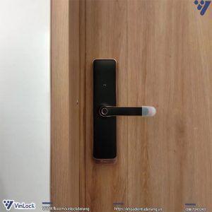 Mặt trong khóa Winlock TT-360W