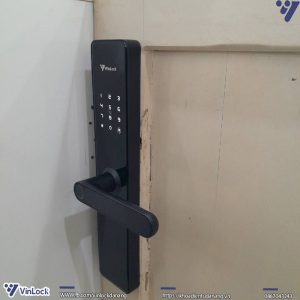 Mặt ngoài khi nhìn nghiêng