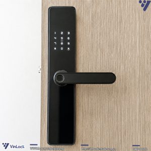 Winlock TT-380W