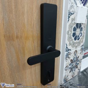 Winlock TT-380W