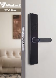 Winlock TT-380W